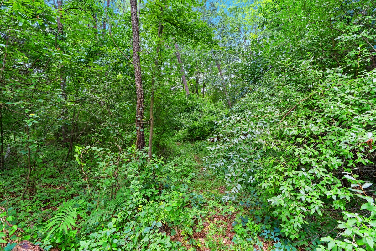 8864 Whitmore Lake Rd